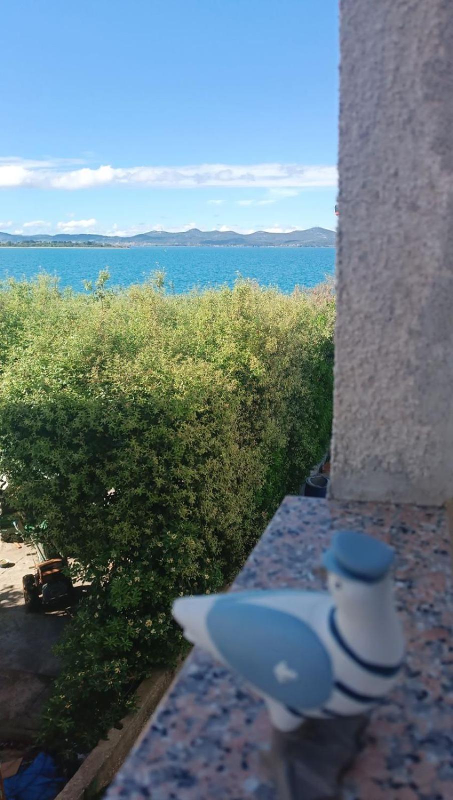 Zivkovic Zadar